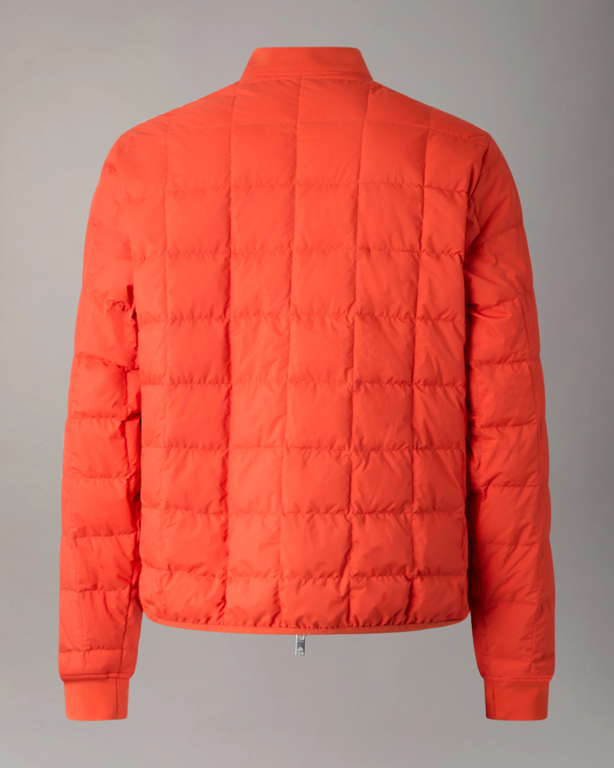 TRANSIT LINER BOMBER JACKET -SPRITZ - Image 5